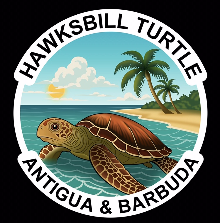 Digital  PNG Sticker Download - TURTLE